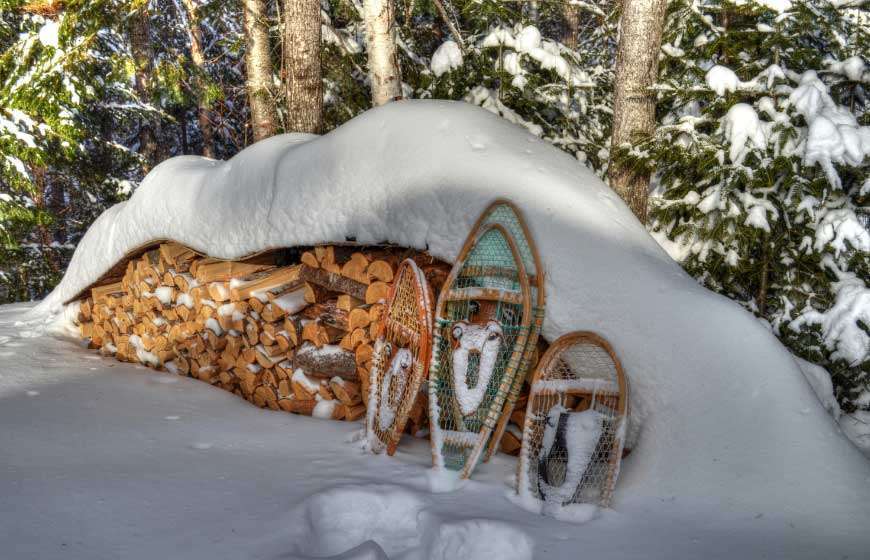 GET READY FOR THE SNOWSHOEING IN WHISTLER